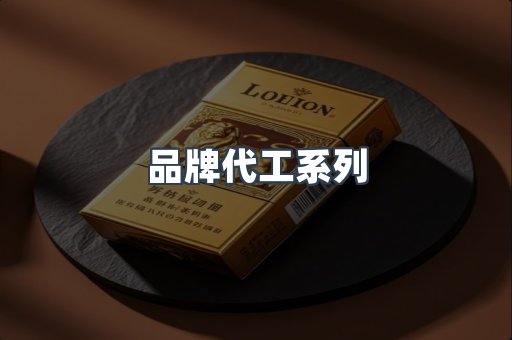 品牌代工系列